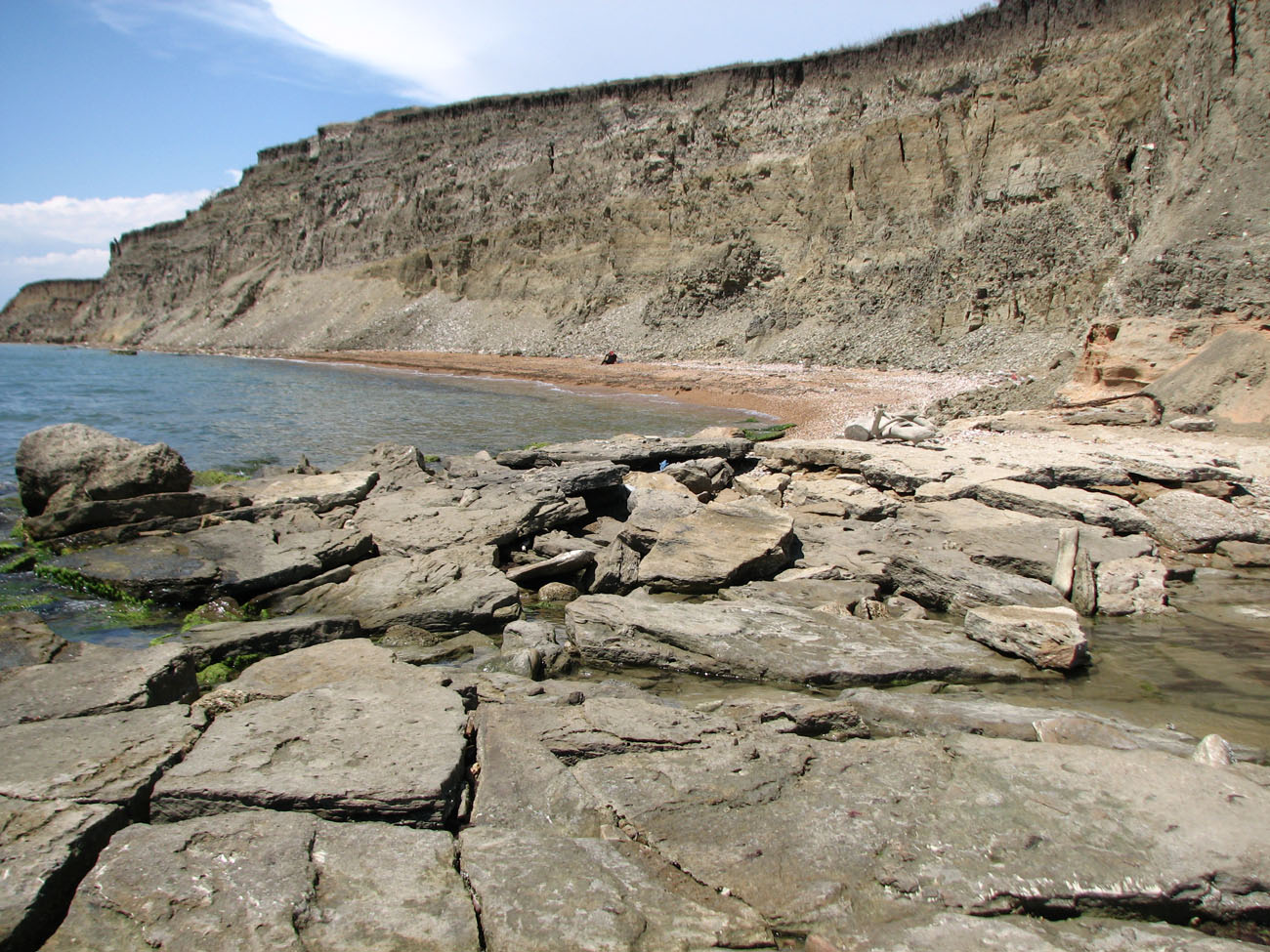 Окр. Яковенково, image of landscape/habitat.