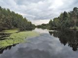 Image of landscape