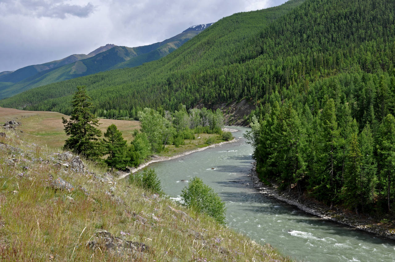 Устье реки Тыдтугем, image of landscape/habitat.