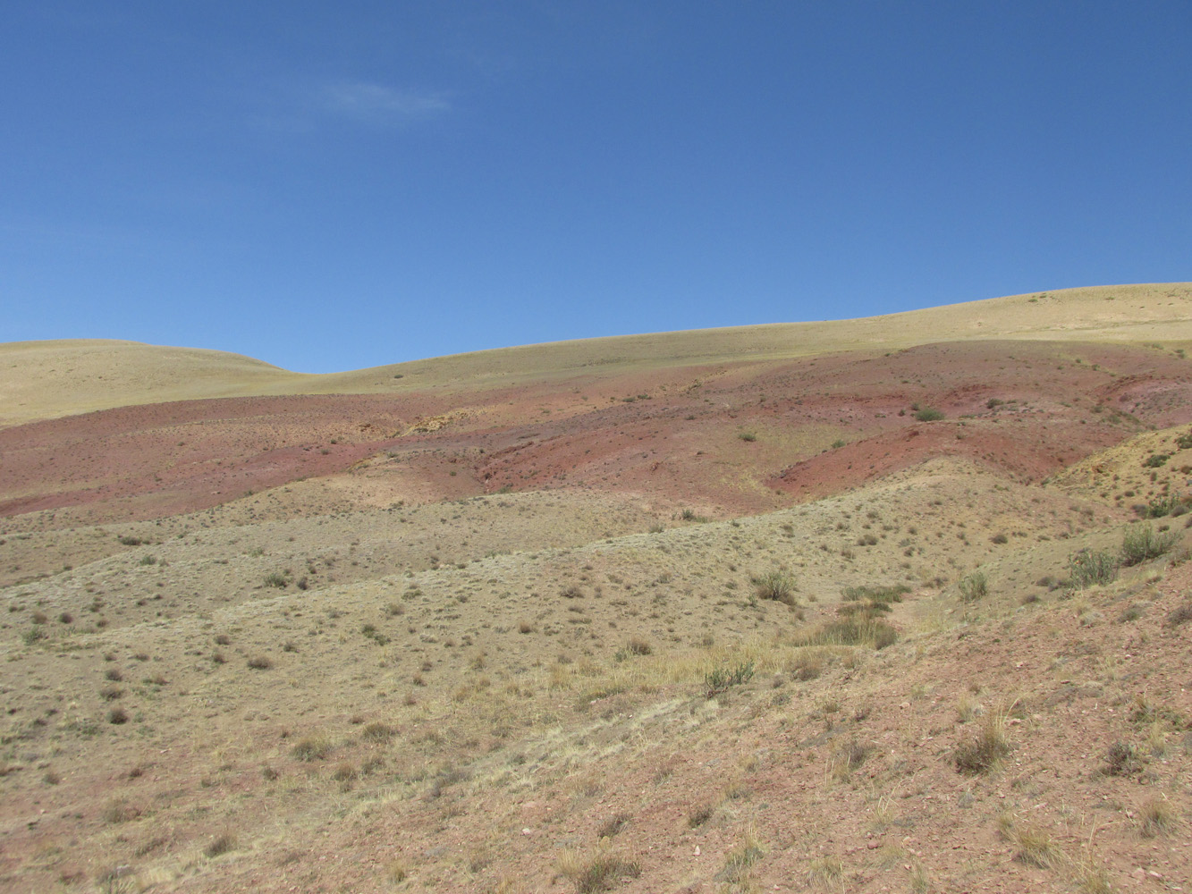 Изгиб реки Кызылшин, image of landscape/habitat.