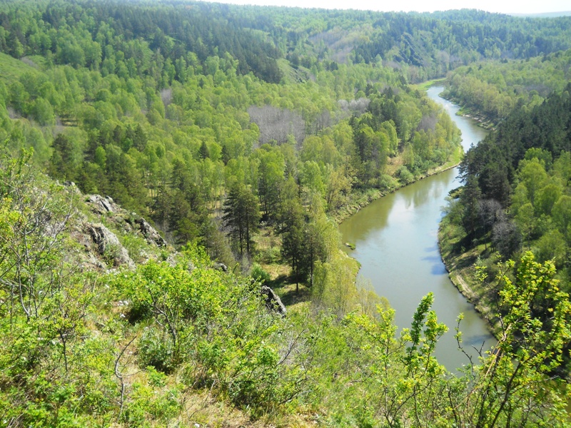 Бердские скалы, image of landscape/habitat.