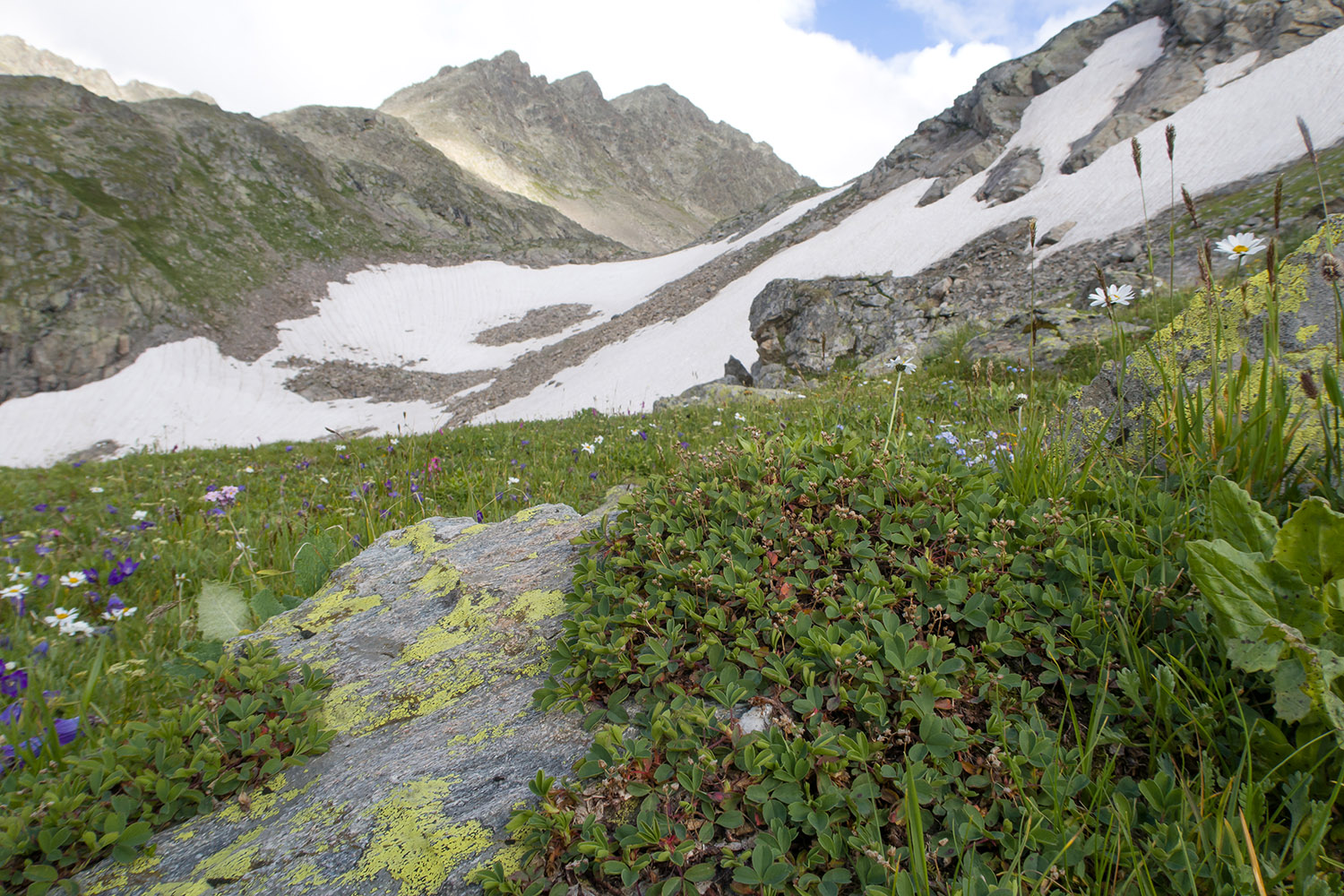 Озеро Географов, image of landscape/habitat.