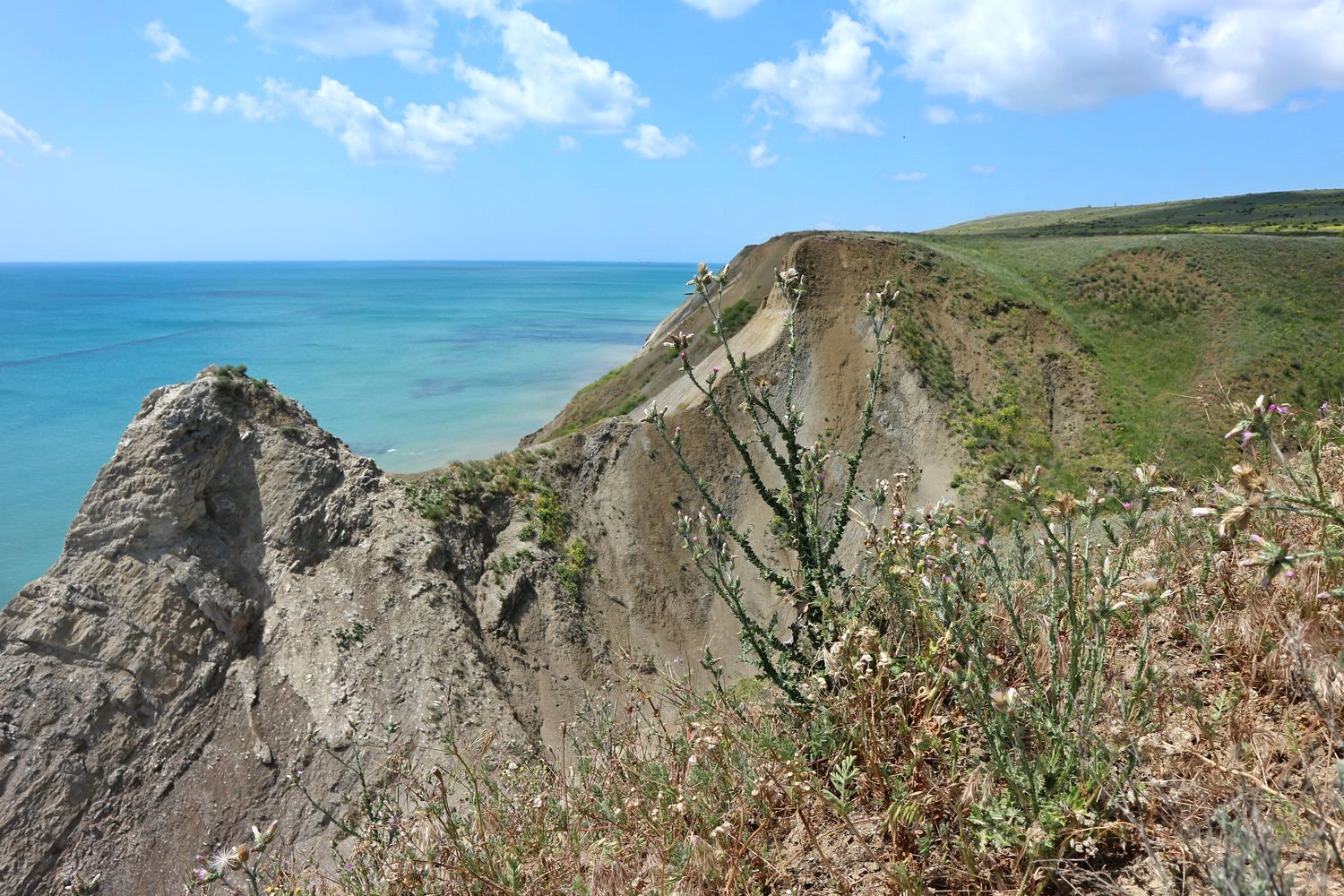 Железный Рог, image of landscape/habitat.
