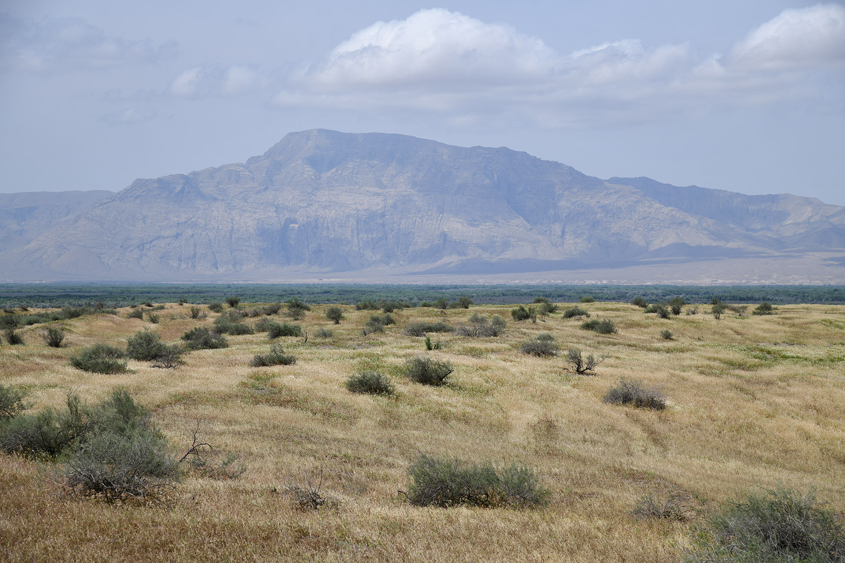 Пески Кашкакум, image of landscape/habitat.