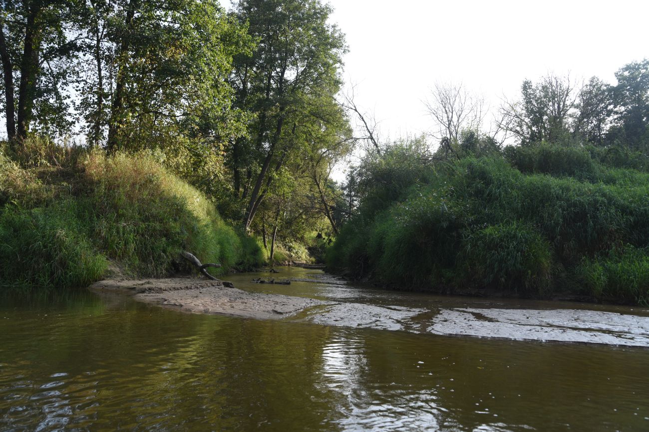 Устье ручья Черебеть, image of landscape/habitat.