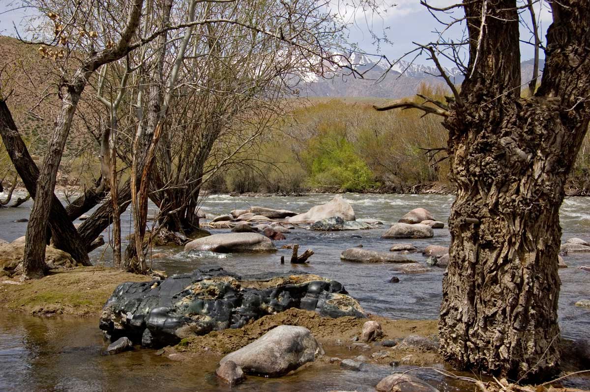 Окрестности села Кызыл-Ой, image of landscape/habitat.