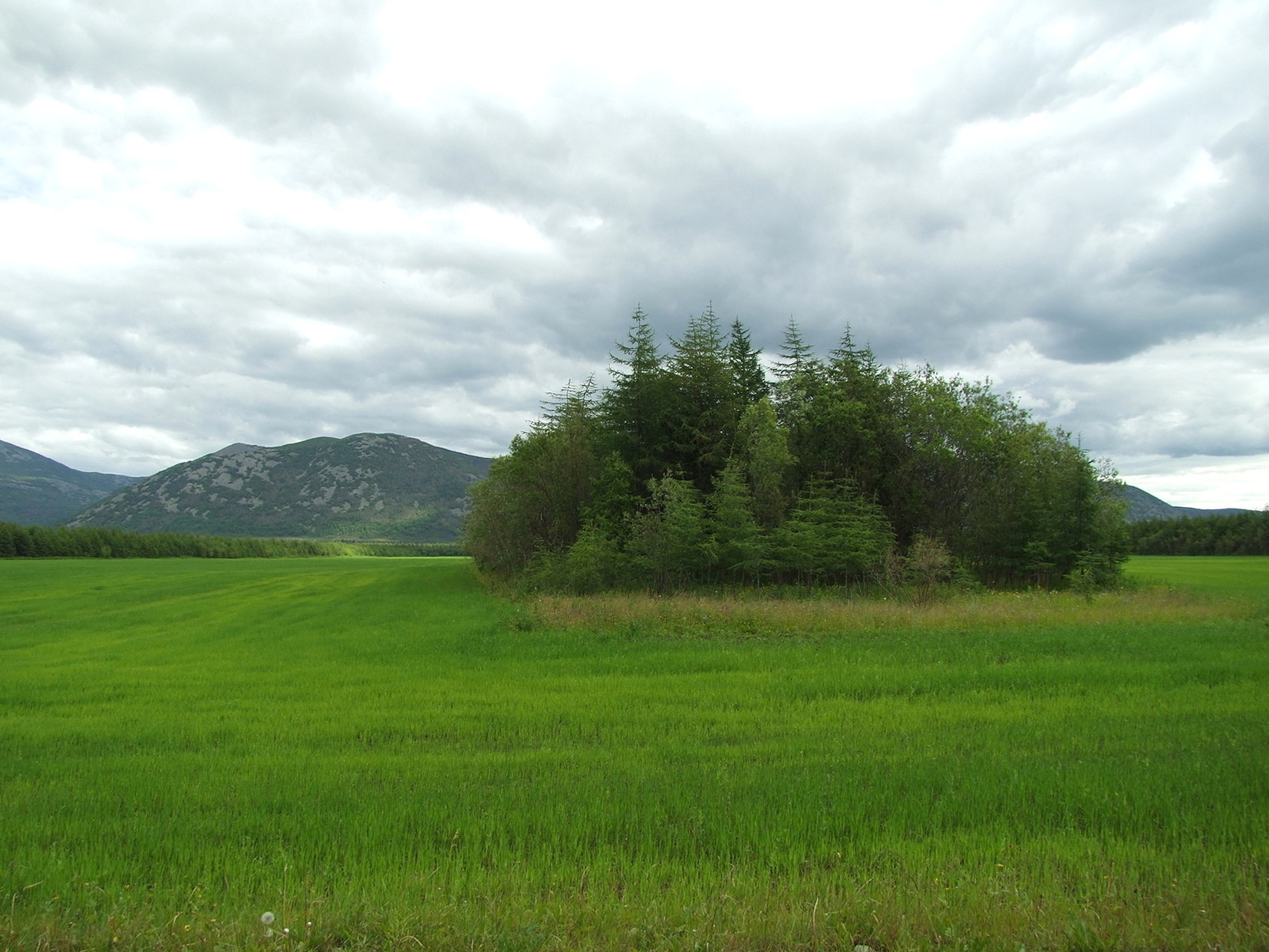 Арманское побережье, image of landscape/habitat.