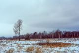 Закамск, image of landscape/habitat.