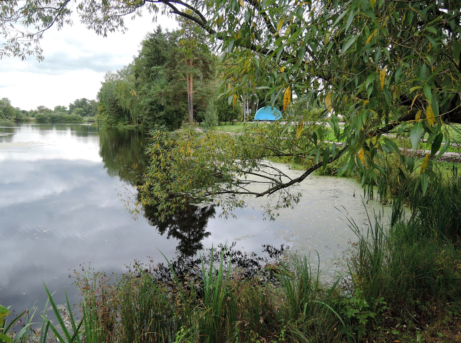 Захарово, image of landscape/habitat.