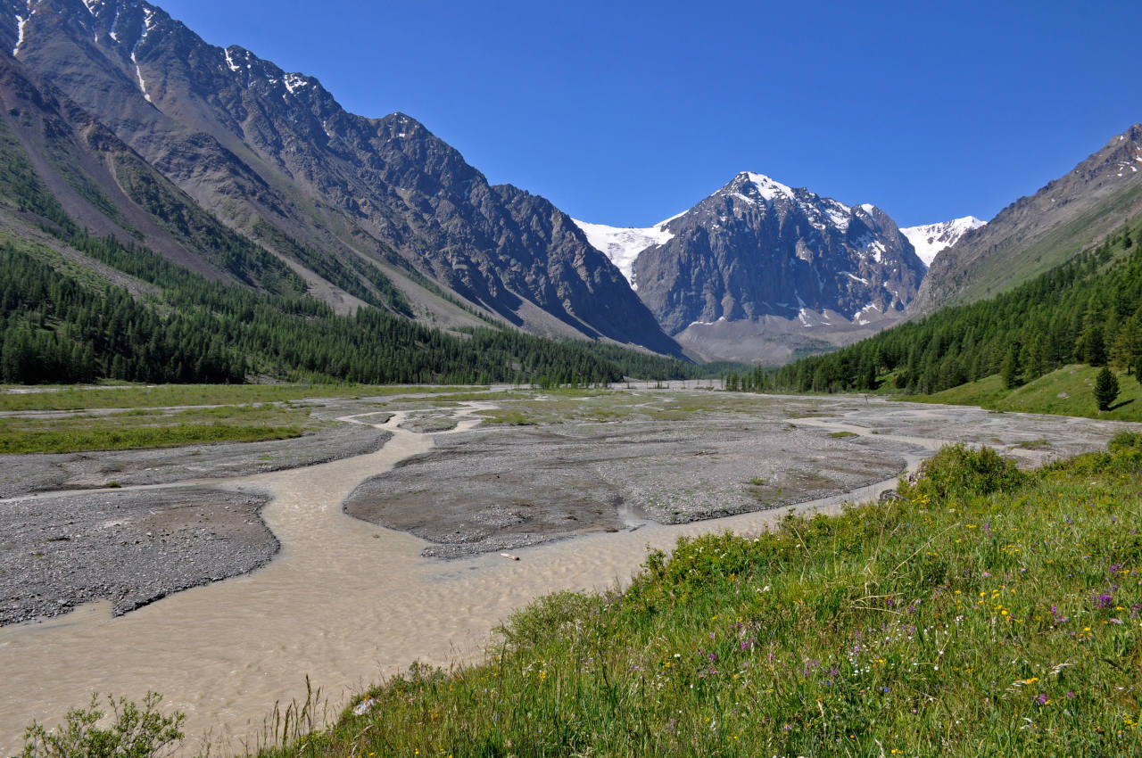 Верховья реки Актру, image of landscape/habitat.