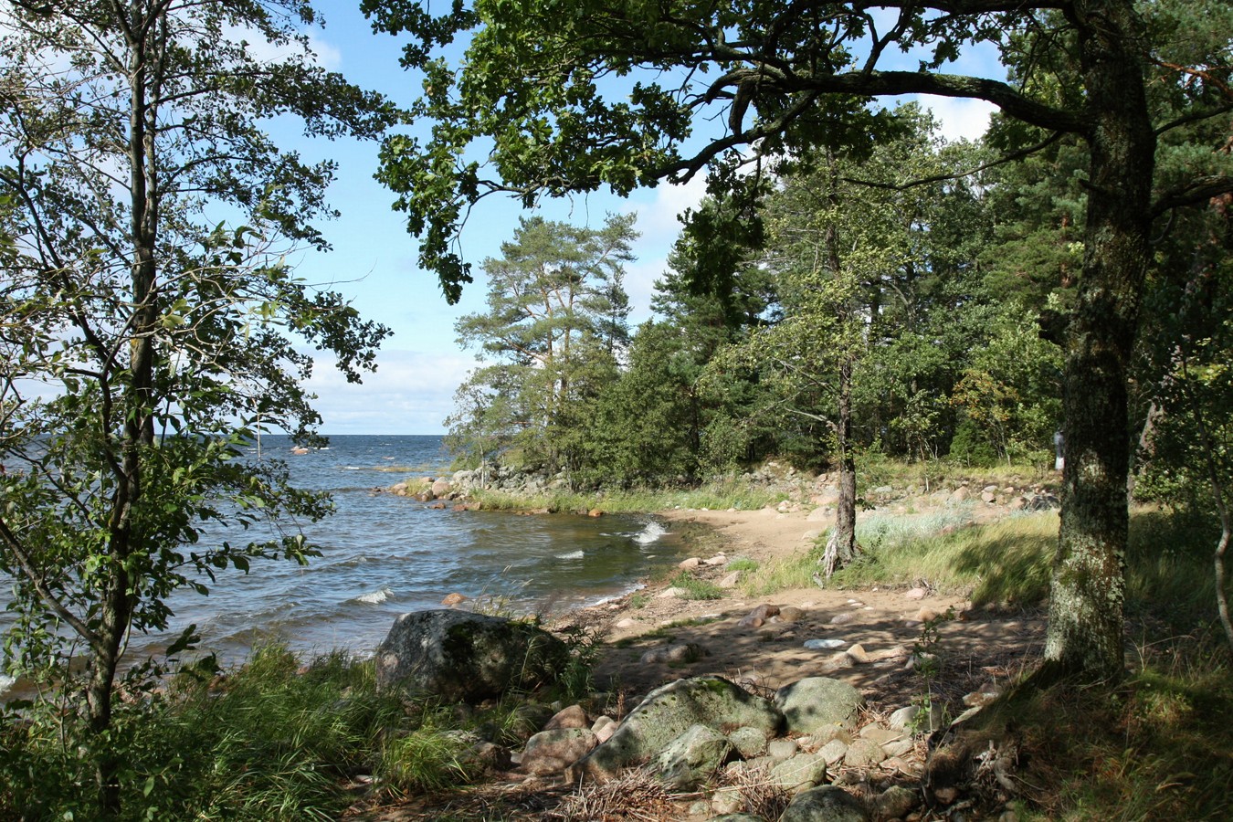 Мыс Дубовский, image of landscape/habitat.