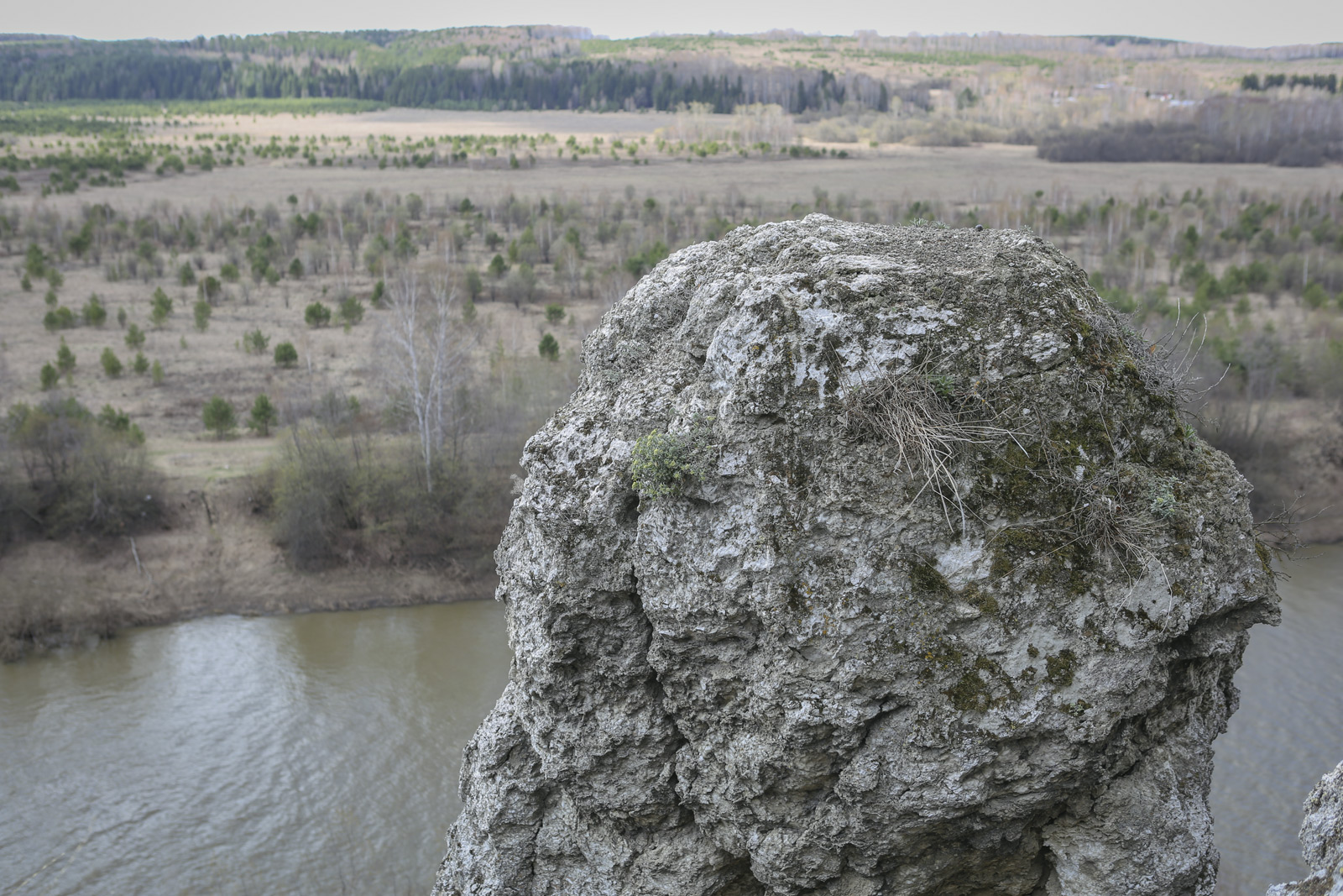 Подкаменная гора, image of landscape/habitat.