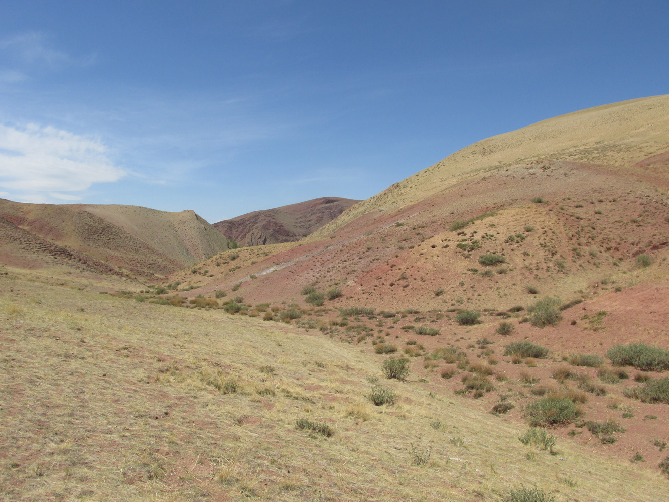 Изгиб реки Кызылшин, image of landscape/habitat.