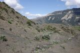 Окрестности села Хоточ, image of landscape/habitat.