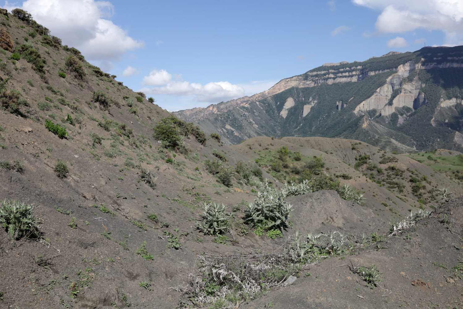 Окрестности села Хоточ, image of landscape/habitat.