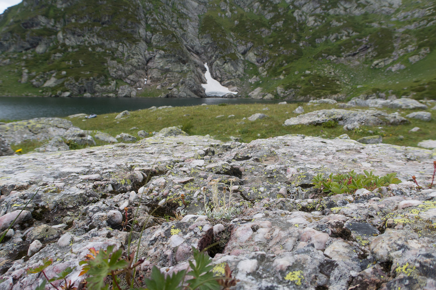 Ацгарские озёра, image of landscape/habitat.
