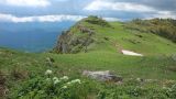 Image of landscape