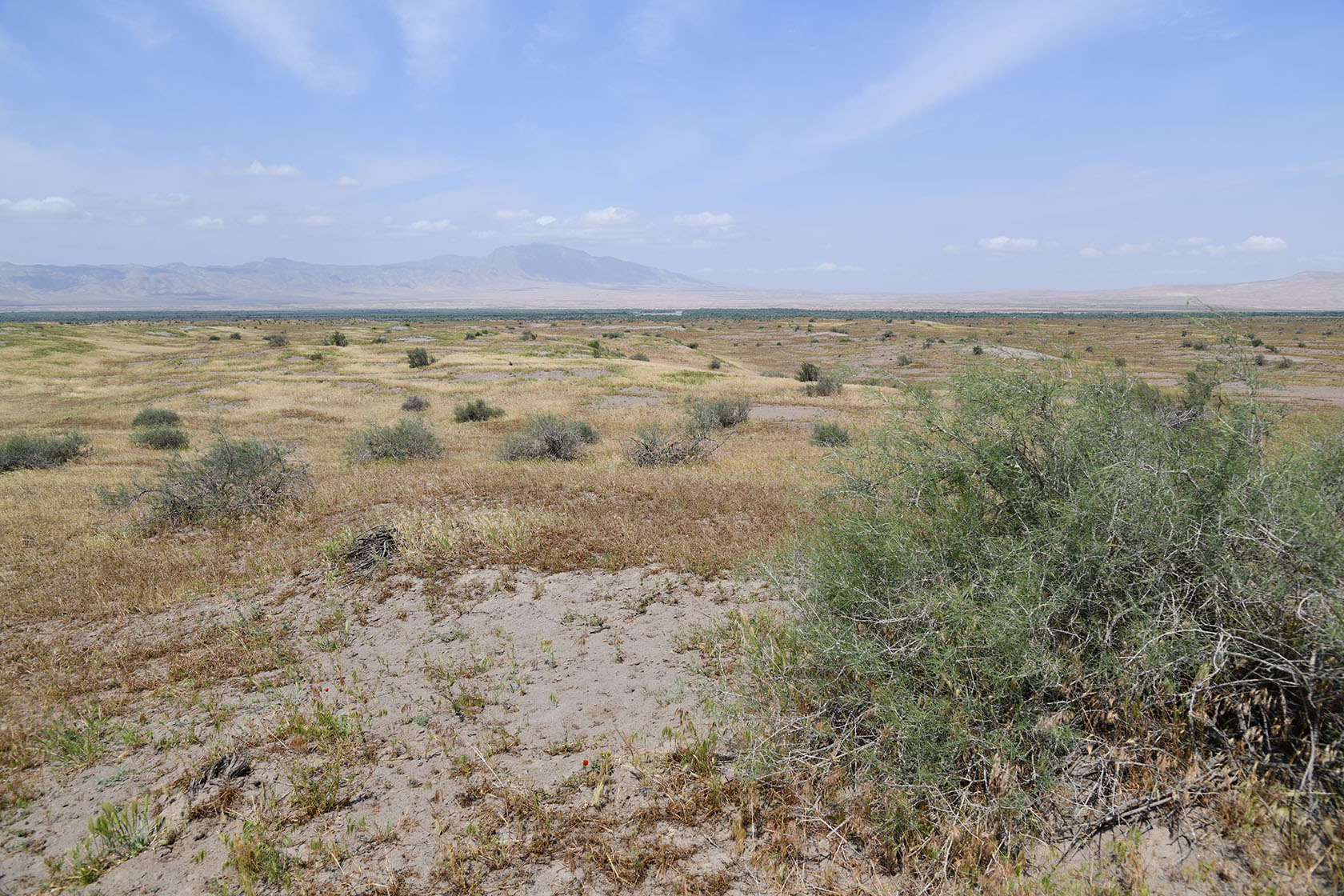 Пески Кашкакум, image of landscape/habitat.