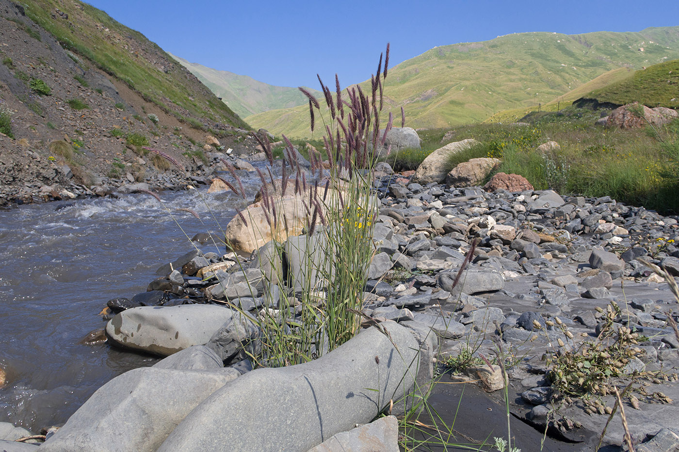Чехычай, image of landscape/habitat.