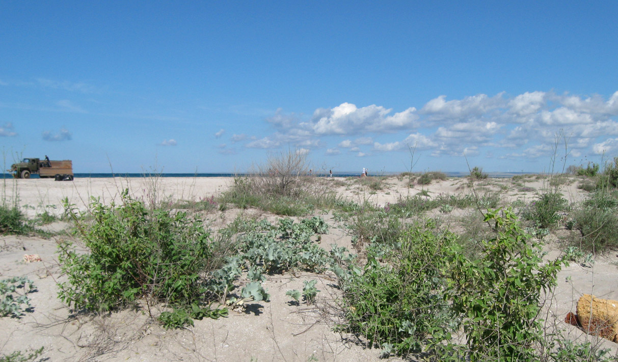 Донузлав, image of landscape/habitat.