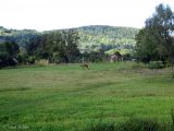 Image of landscape