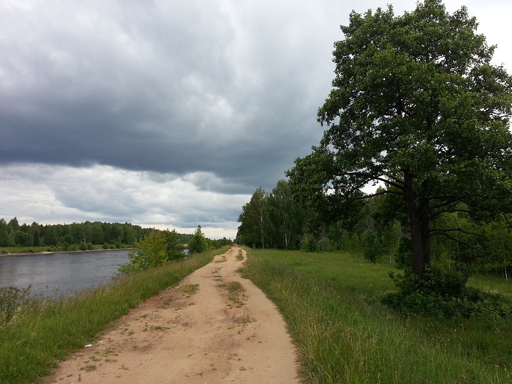 Шлюз №2 канала им. Москвы, image of landscape/habitat.