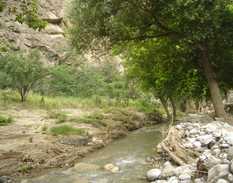 Копетдаг, Чули (Гокдере), image of landscape/habitat.