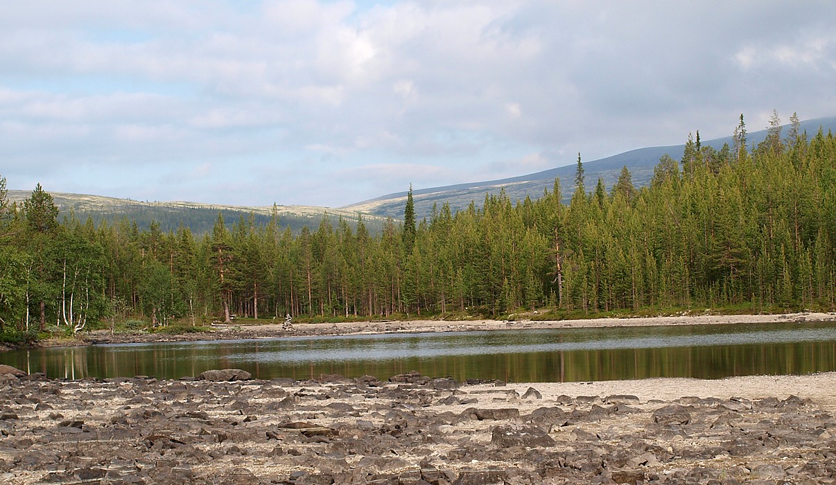 Западный склон Хибинпахнчорра, image of landscape/habitat.