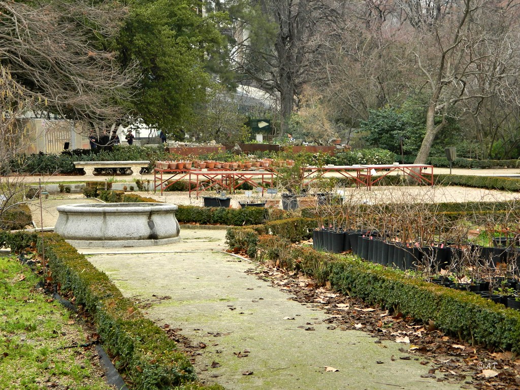 Real Jardín Botánico de Madrid, изображение ландшафта.