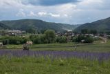 Image of landscape