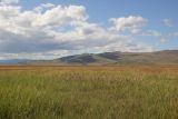 Image of landscape