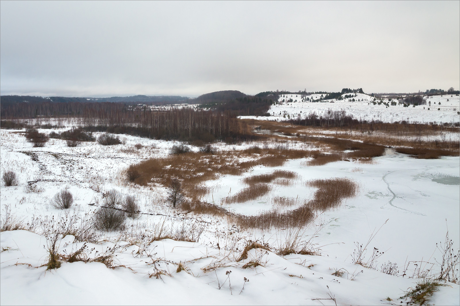 Изборско-Мальская долина, image of landscape/habitat.