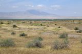 Image of landscape