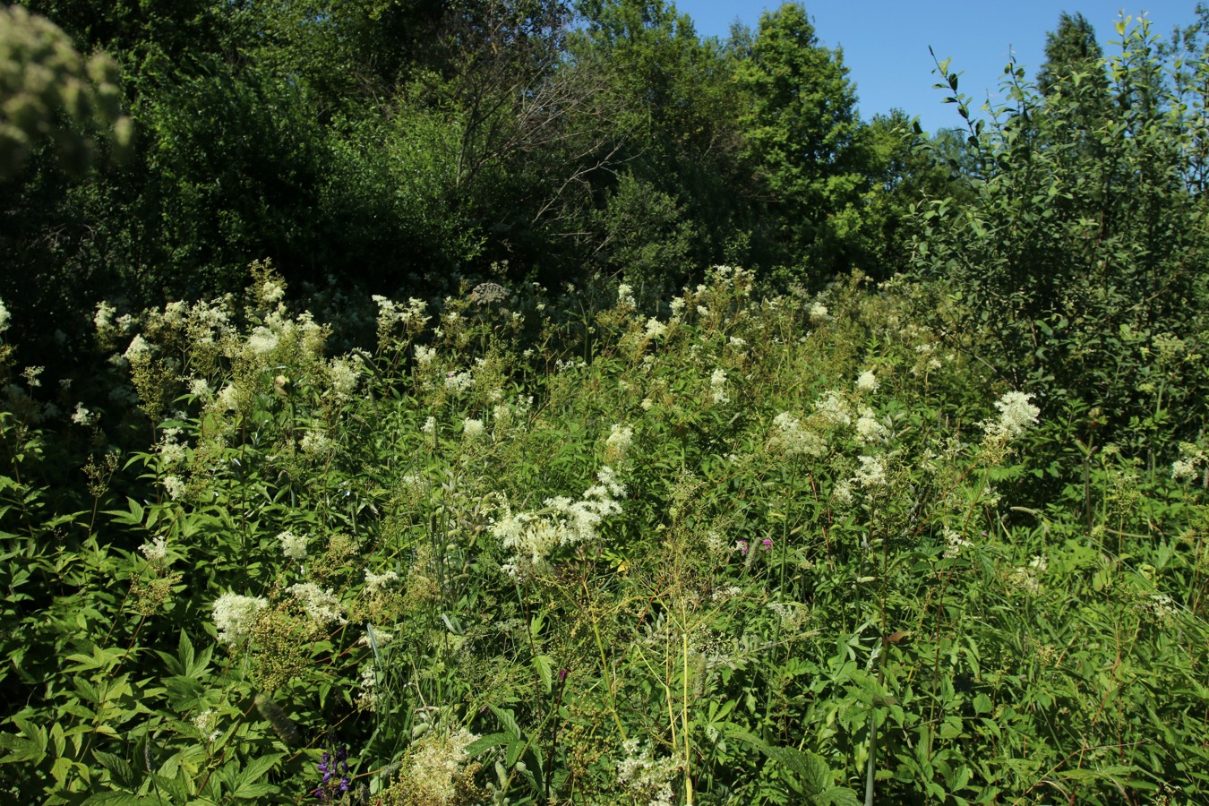 Езерище и окрестности, image of landscape/habitat.