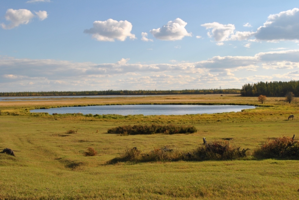 Лено-Вилюйская равнина, изображение ландшафта.