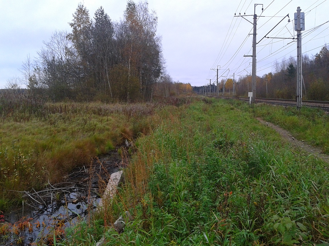пос. Кобралово, image of landscape/habitat.