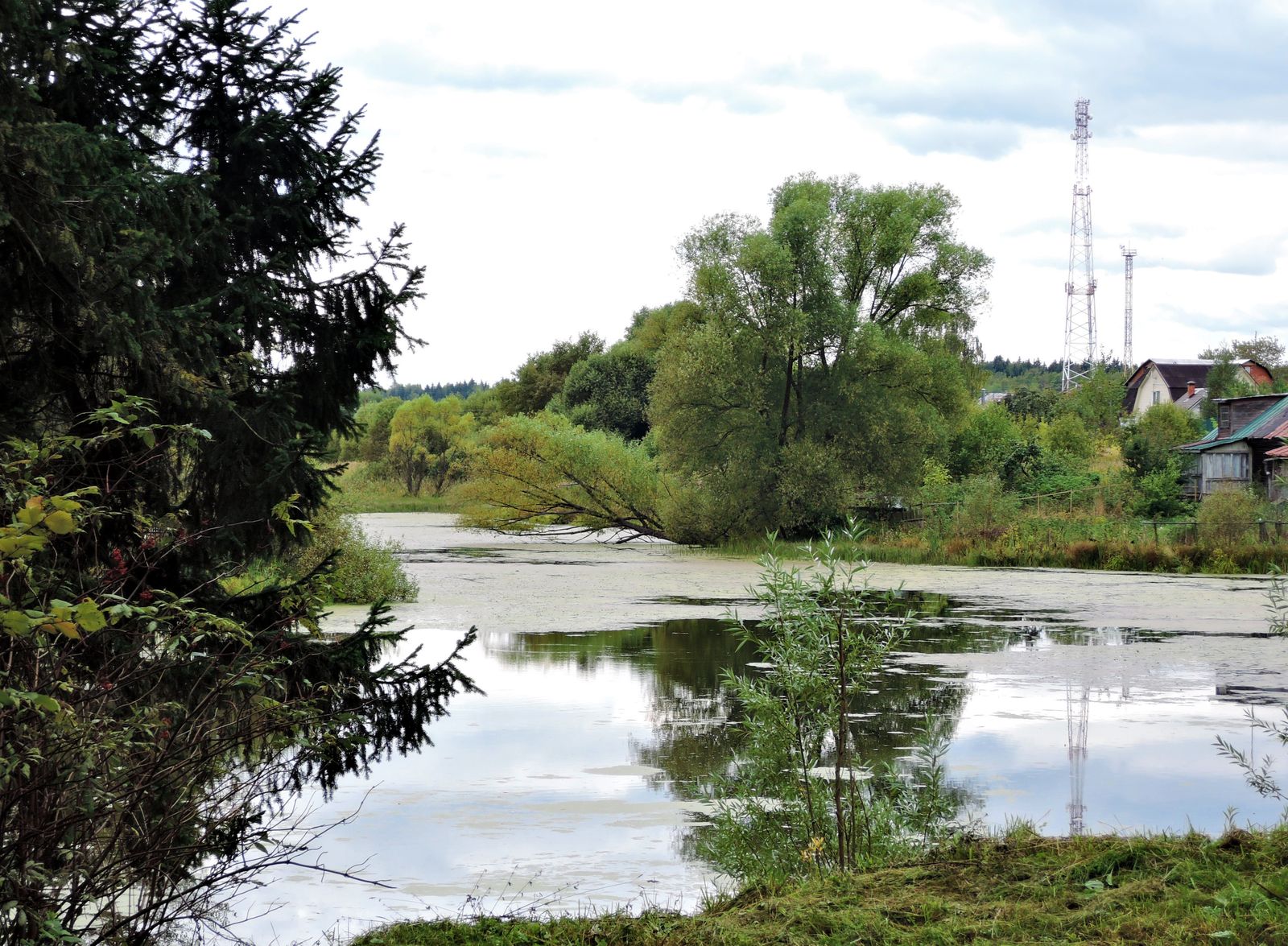 Захарово, image of landscape/habitat.