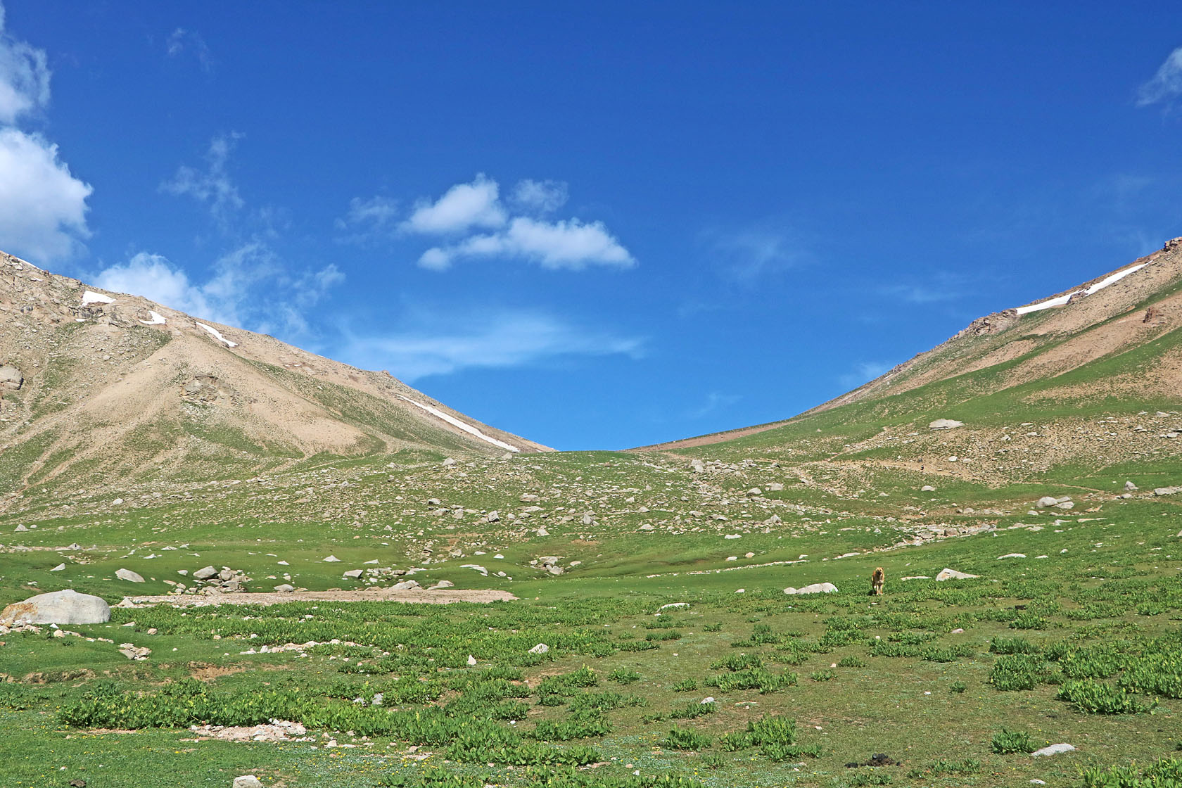 Перевал Даван, изображение ландшафта.
