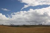 Image of landscape