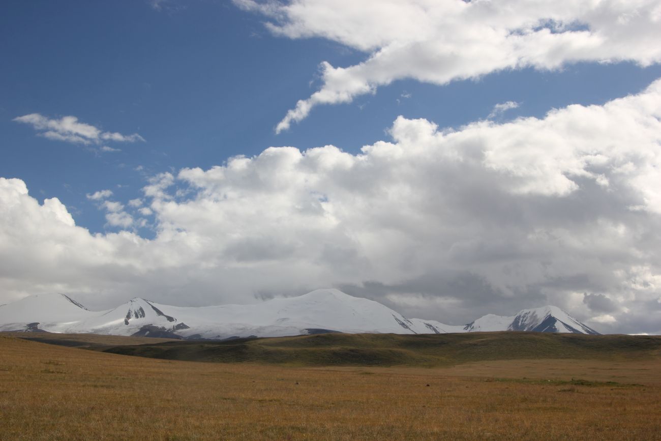 Гора Таван-Богдо-Ула, image of landscape/habitat.