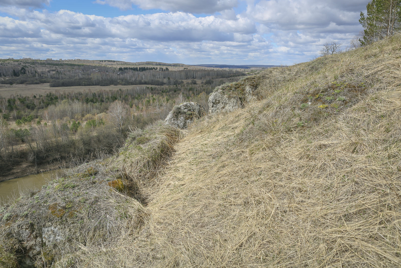 Подкаменная гора, image of landscape/habitat.