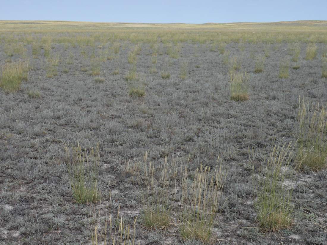 Ишкаргантау, image of landscape/habitat.