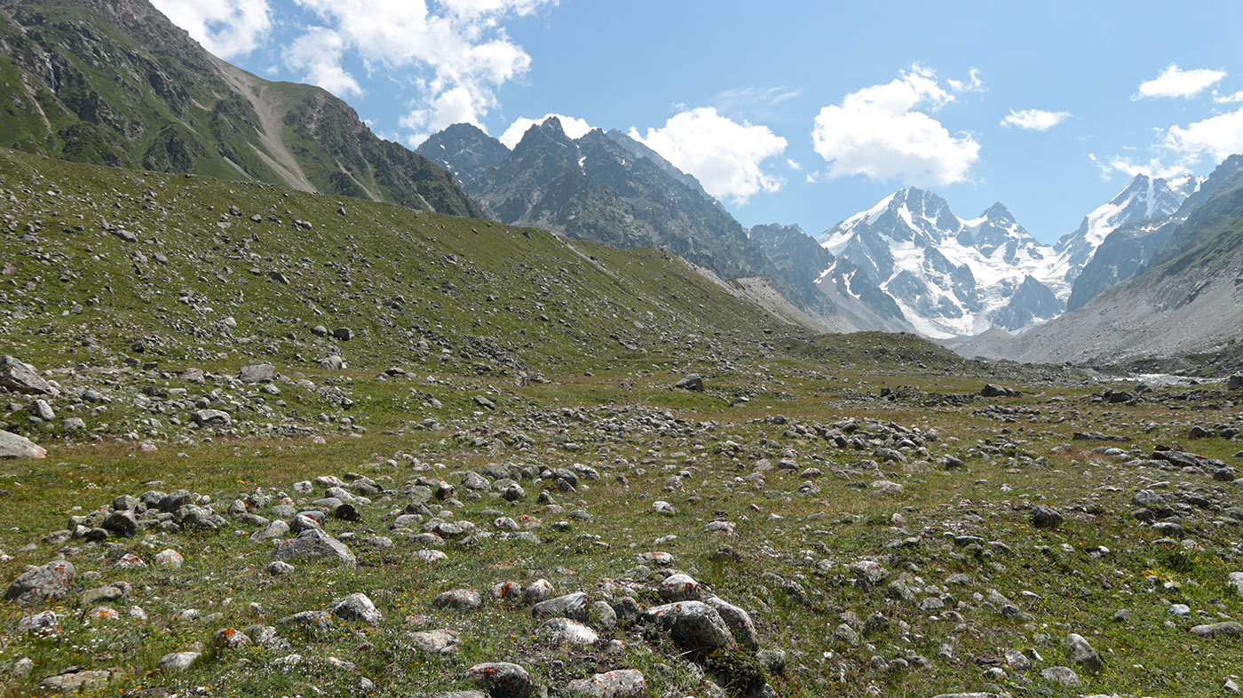 Ледник Нахашбита (Псыгансу), image of landscape/habitat.