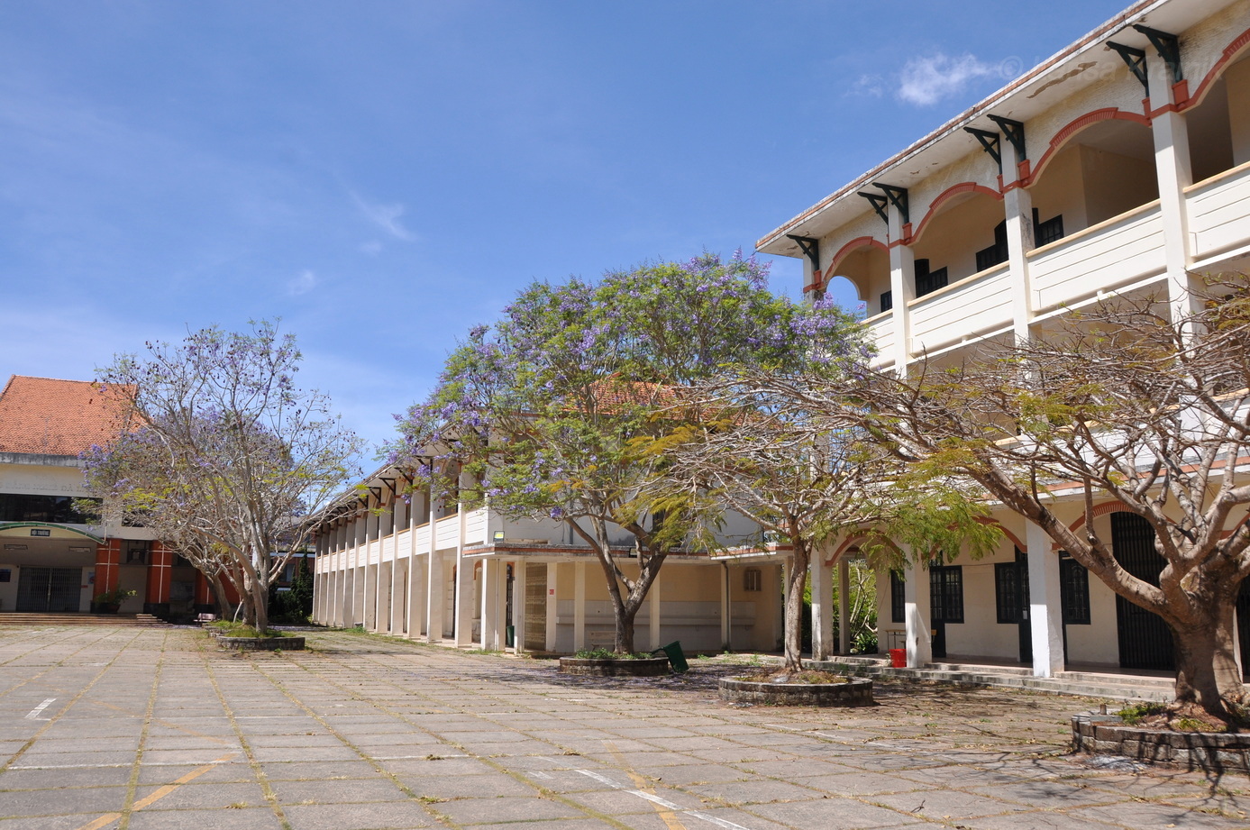 Далат, image of landscape/habitat.