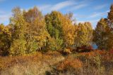 Порт Байкал, image of landscape/habitat.