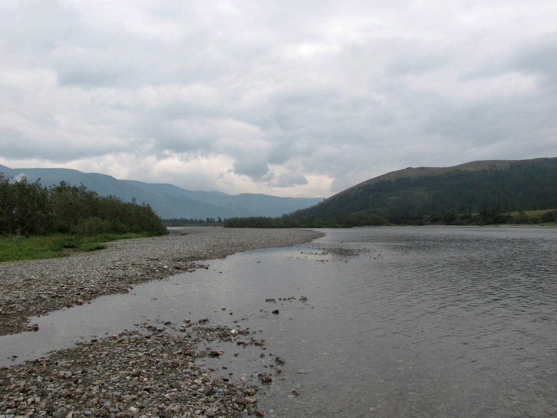 Собь у устья Кемьрезьрузь, image of landscape/habitat.