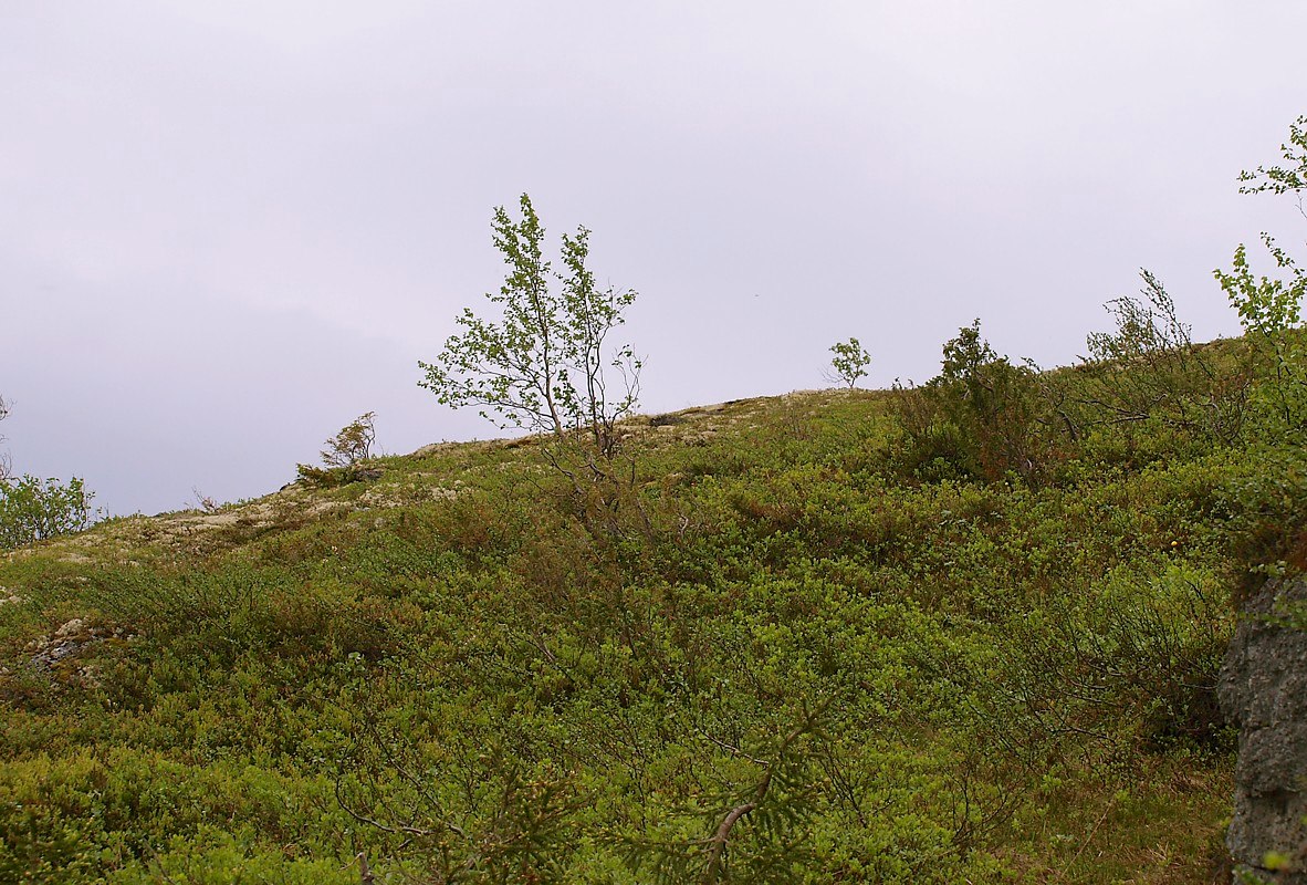 Западный склон Хибинпахнчорра, изображение ландшафта.