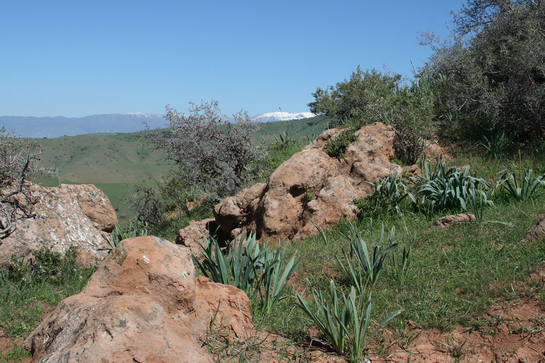 Окрестности селения Гиджал, изображение ландшафта.