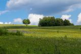 Окрестности деревни Ташлы, image of landscape/habitat.