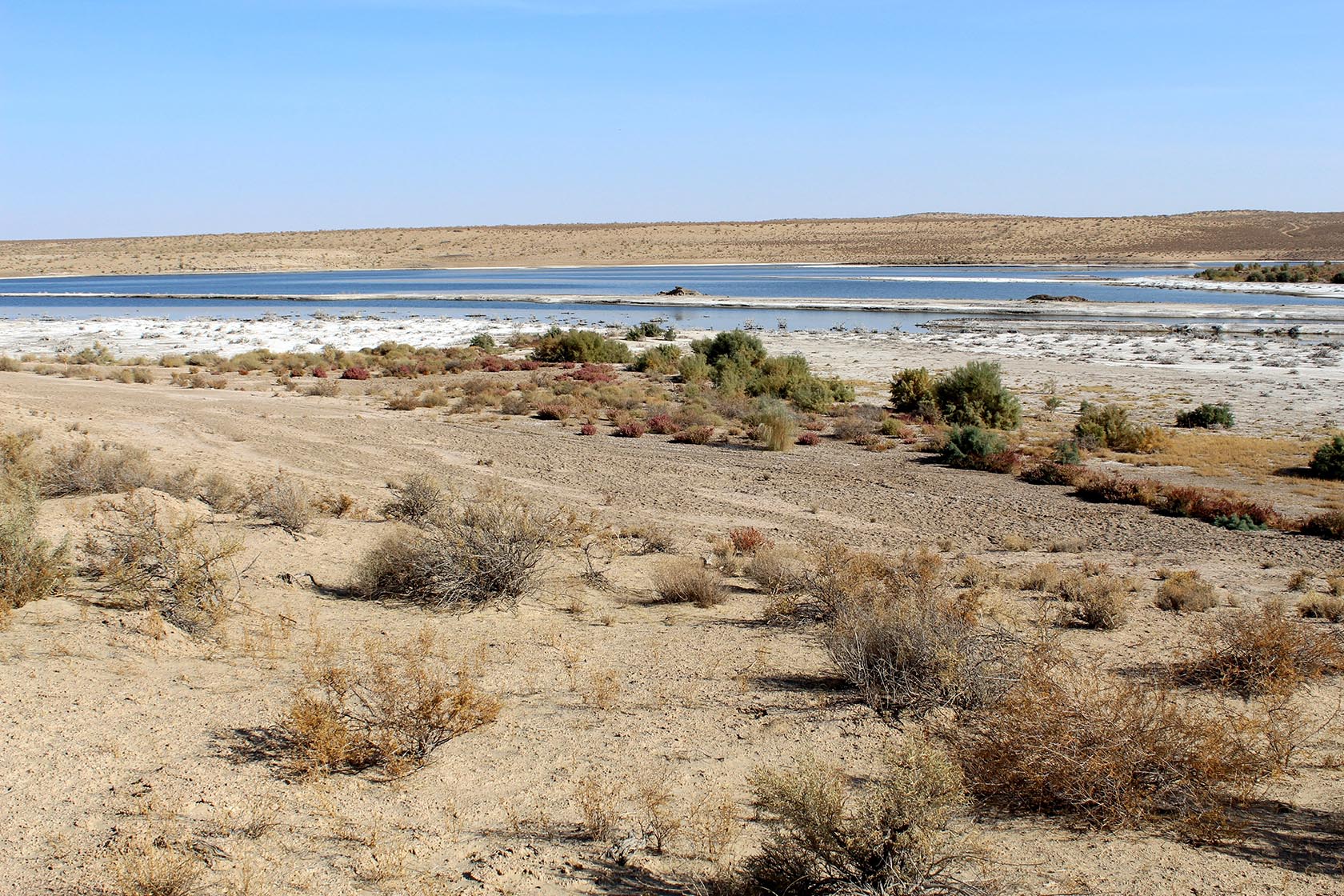 Ак-Яйла, image of landscape/habitat.